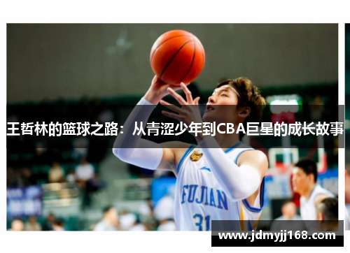 王哲林的篮球之路：从青涩少年到CBA巨星的成长故事